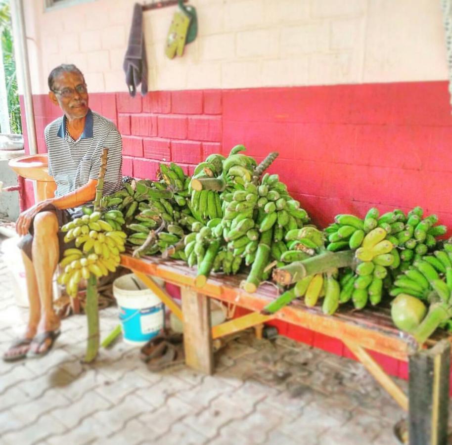 Cordel Farms Mangalore Exterior photo