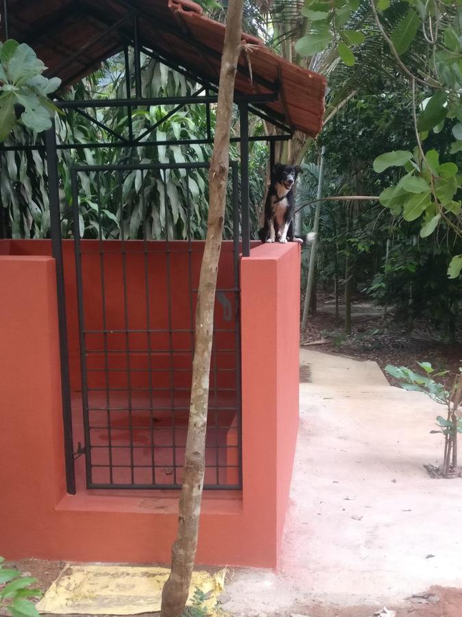 Cordel Farms Mangalore Exterior photo