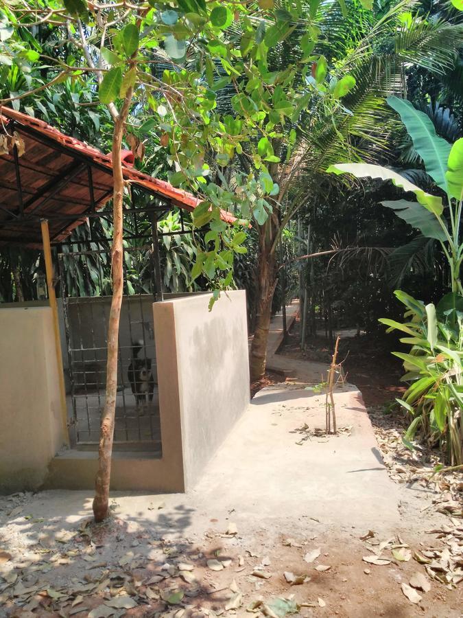 Cordel Farms Mangalore Exterior photo